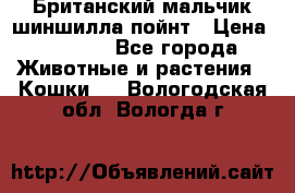 Британский мальчик шиншилла-пойнт › Цена ­ 5 000 - Все города Животные и растения » Кошки   . Вологодская обл.,Вологда г.